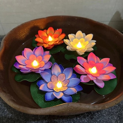 Floating led lotus - lotus, night