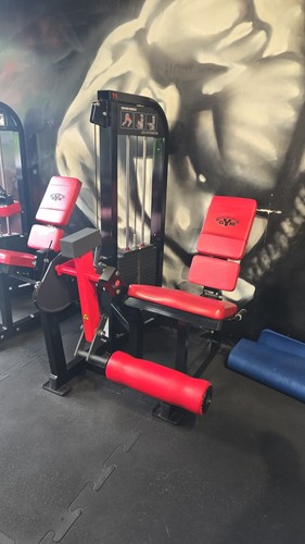 Leg extension machine plate - leg,