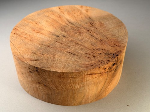 Burr elm wood turning bowl - wood,