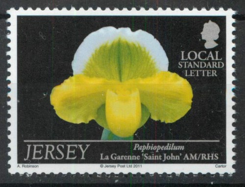 Paphiopedilum garenne saint - paphiopedilum,