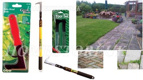 Garden patio slab groove - groove, weed