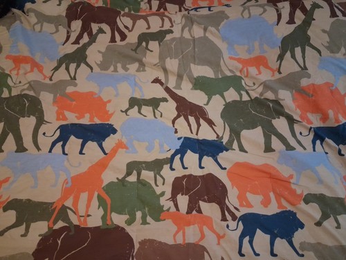Disney parks animal - parks,
