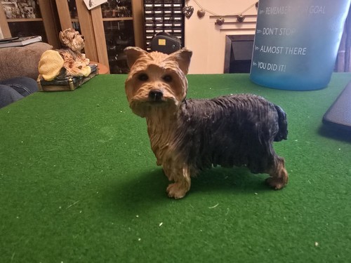 Yorkshire terrier figurine - yorkshire,