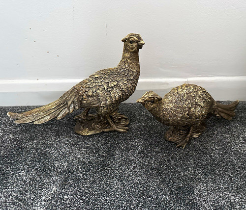 Pair gold pheasant - pair, of