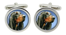 Black and tan coonhound - black,
