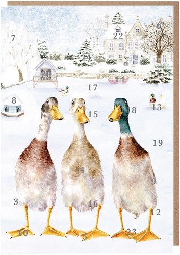 Wrendale advent calendar - advent, card