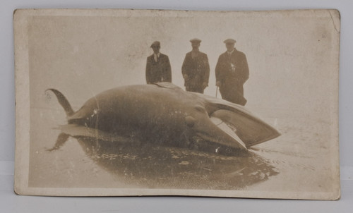 Antique rppc postcard beached - antique,
