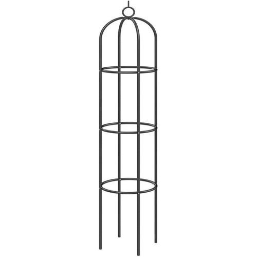 Garden obelisk plant hanging - plant,