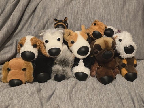 14x the dog - 14x, artist
