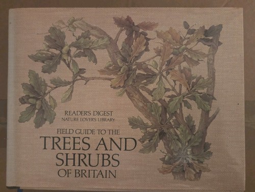 Field guide the trees and - to,