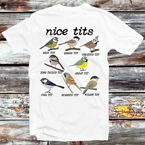 Nice bird watch - t#ts, marsh