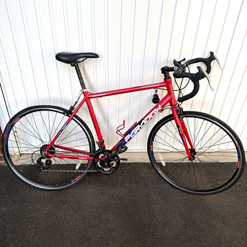 Apollo bike adult