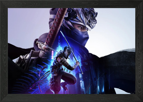 Ninja gaiden framed wall art - ninja,