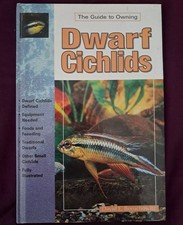 Dwarf Cichlids, The Guide To