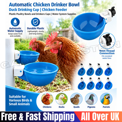 Automatic chicken water cup - automatic,