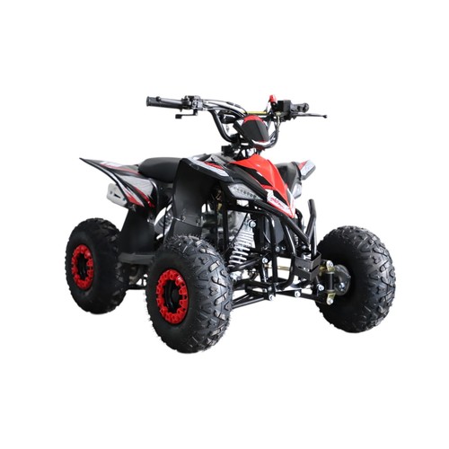 Quad bike petrol 110cc - quad,