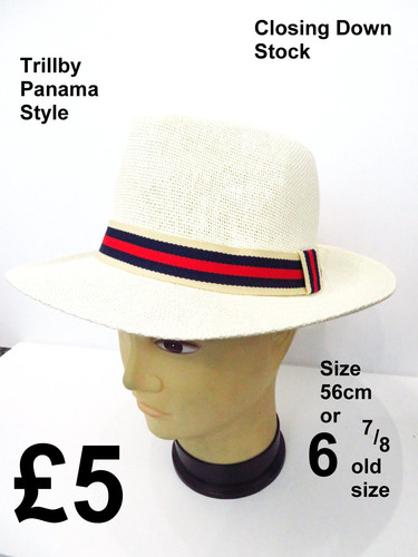 Unisex adults panama style - unisex,