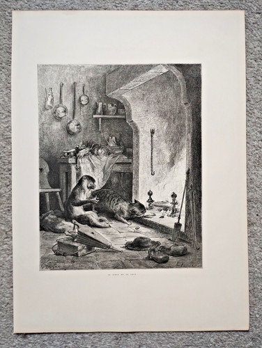 The monkey and cat - and,