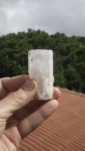 Natural clear danburite - natural,