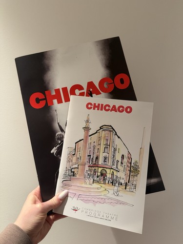 Chicago programme and - chicago,