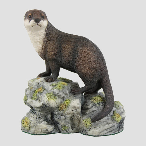 Otter rocks border fine - otter, on