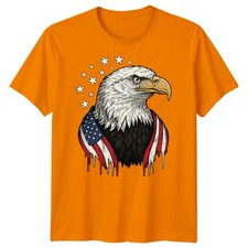 Bald Eagle American Patriotism