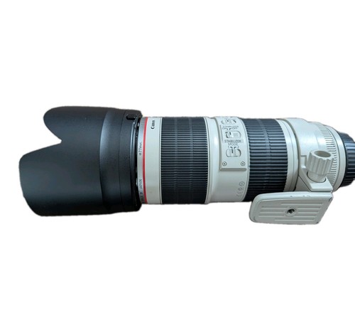Canon 200mm 8 - l, is