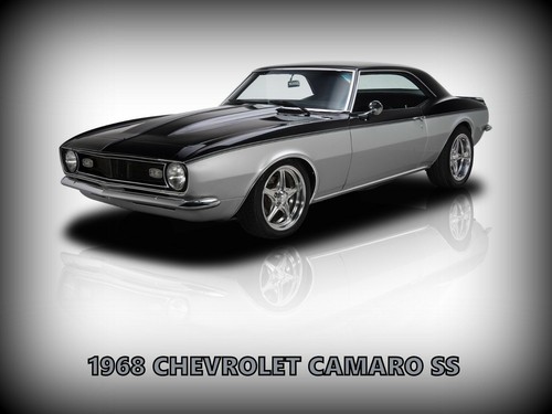1968 chevrolet camaro metal - chevrolet, ss