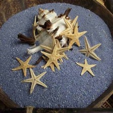 20 pcs Mini Starfish Natural