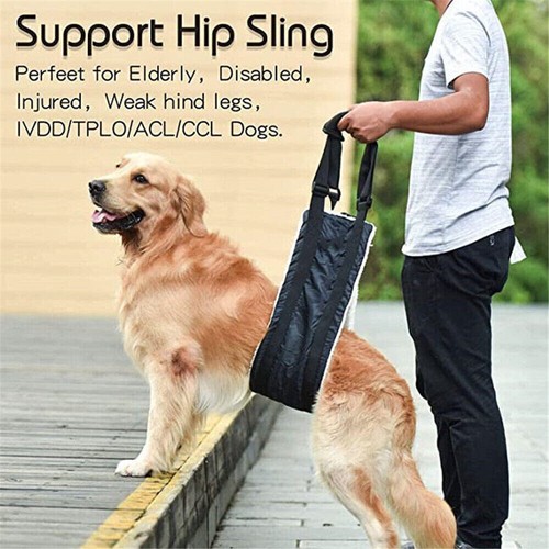 Large dog mobility - dog, aids