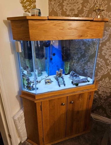 Aqua one oak - oak, corner