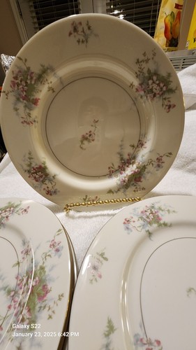 Vtg theodore haviland new york - theodore,