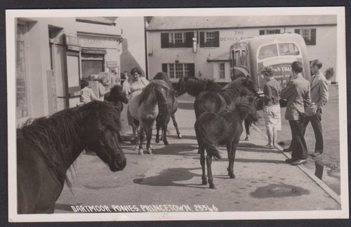 Vintage rppc postcard dartmoor - rppc,