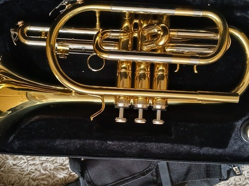 Cornet e100 - e100,