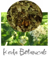 ORGANIC MEXICAN DREAM HERB Tea PREMIUM QUALITY Calea zacatechichi Dried Herb