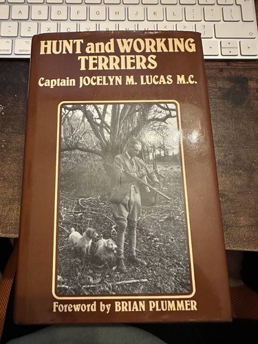 Hunt and working terriers - hunt,