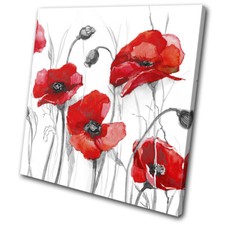 Red Poppies Flowers