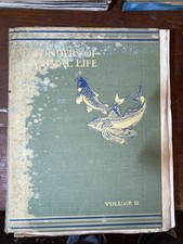 			Wonders Of Animal Life Volume 2, J A Hammerton (Ed.), The Amalgam		