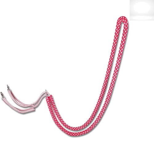 Elegant red and - elegant, lunging