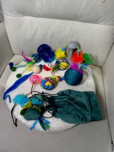 Cat toy bundle - bundle,, treat