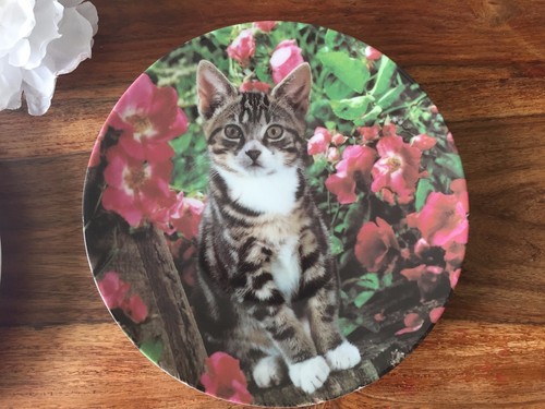 Cat décor plate kitten pink - décor, &