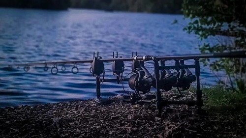 Freespirit ive carp rods - ive,