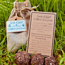 Native Wildflower Seed Bomb