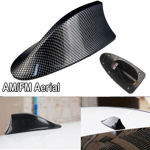 Carbon fiber roof - fiber, shark