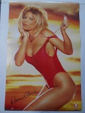 Poster Playboy Playmate Donna