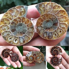 1pair natural druzy madagascar - 1pair,