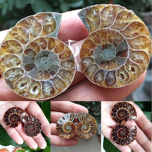 1pair natural druzy - 1pair,