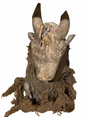 Old tribal bamum - bamum, bull