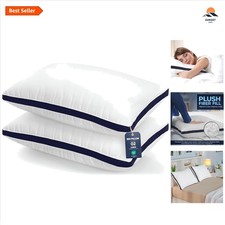 2 Pack Queen Size Pillow, 45 x