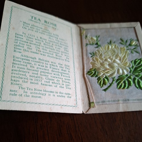 Kensitas silk flower tea - kensitas,